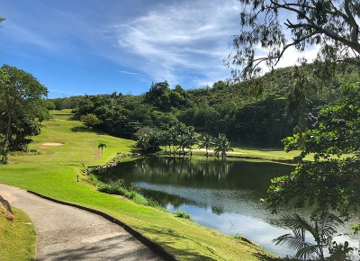 高尔夫球和湖