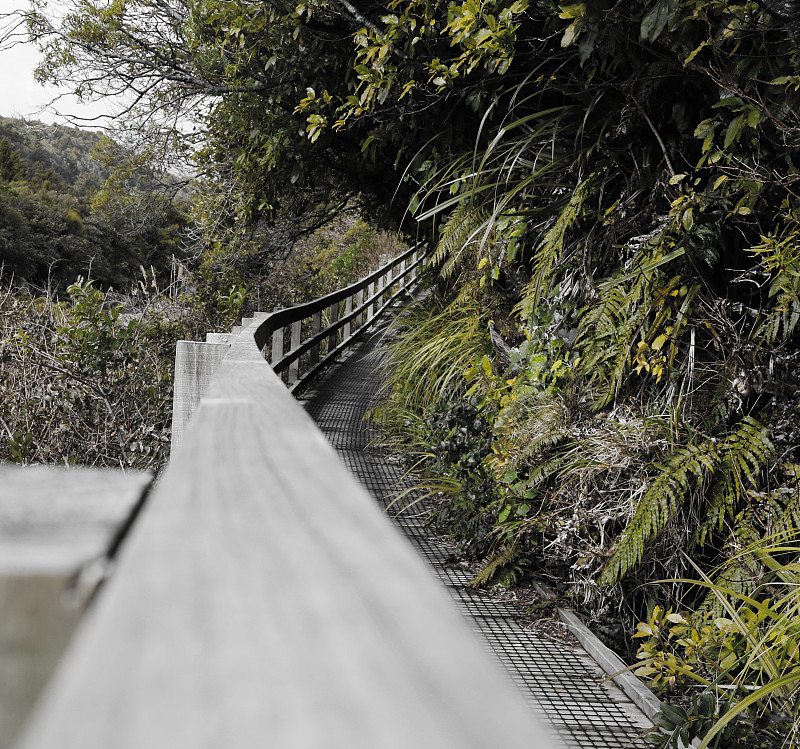 Wilkie Pools Walk, Dawson Falls, Taranaki, New Ply