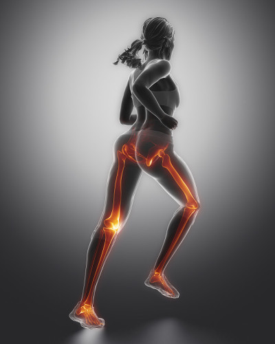 慢跑女性腿部解剖学