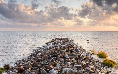 防波堤与海鸥在黄昏，Büsum，德国