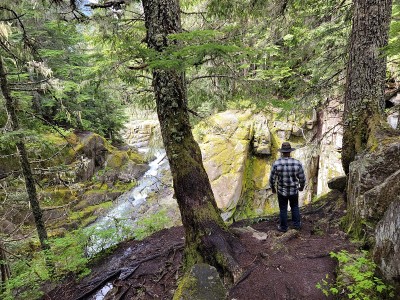 雷尼尔山徒步旅行