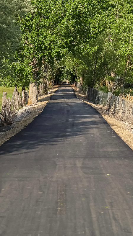 垂直道路中有草地地形，阴天下有铁链护栏