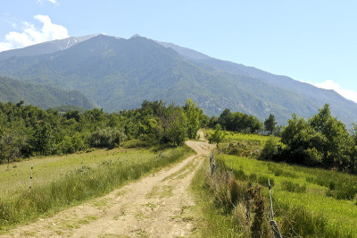 峡谷前的山路
