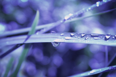 反映在雨滴