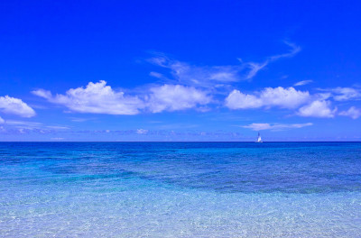 海洋和游艇