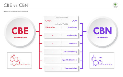 CBE vs CBN, Cannabielsoin vs Cannabinol横向商业信息图解