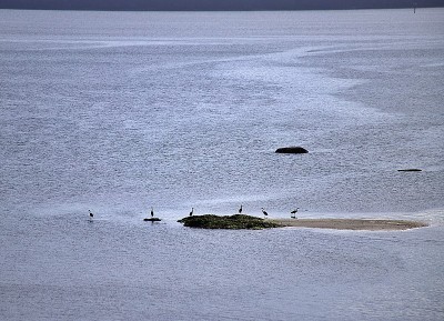 胡德运河景色