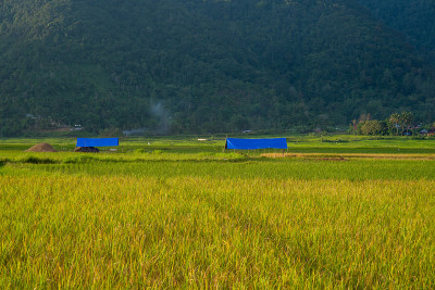 田野风景