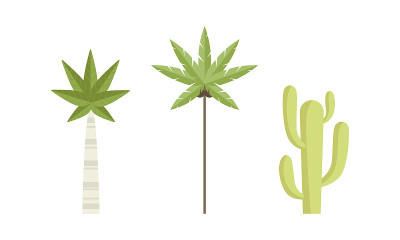 简单的绿色棕榈和仙人掌作为植物和环境元素向量集
