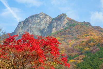 红叶点缀着美丽的秋景