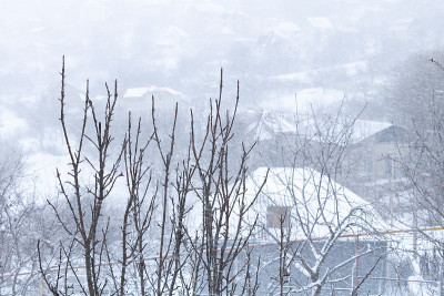 一月大雪-气象概念-冬季时间