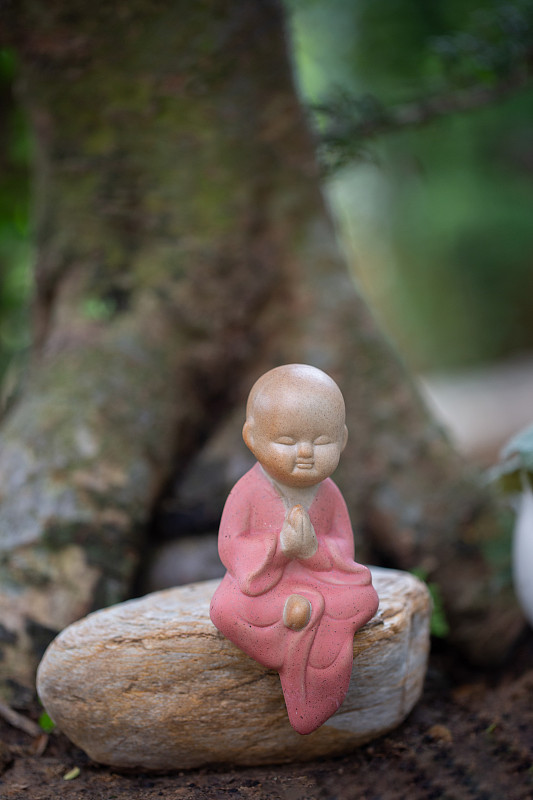 花园里的亚洲中国盆景预览效果