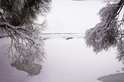 降雪后，俄罗斯莫斯科Kolomenskoye庄园的混交林