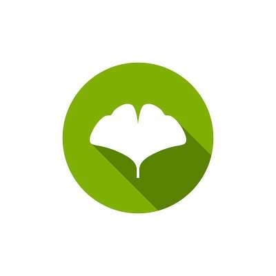 白色的银杏叶在绿色的圆圈中有阴影。平面图标孤立在白色。