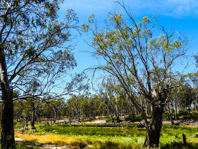 Echuca,维多利亚,澳大利亚