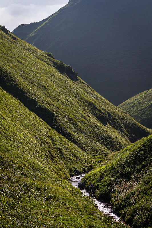 Rebun森林河道溪