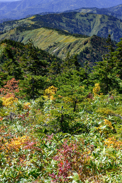 早秋的Aizukomagatake山