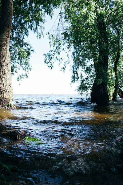 夏日美景，阳光明媚的一天，在河边