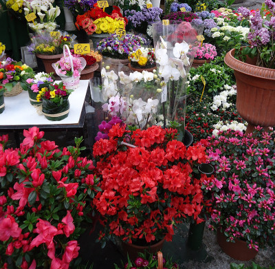 花