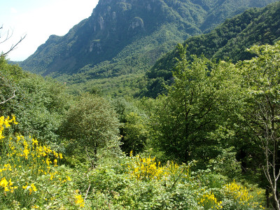 山地景观