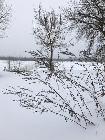 冬天阳光下的雪天早晨