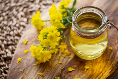 菜籽油和油菜开花