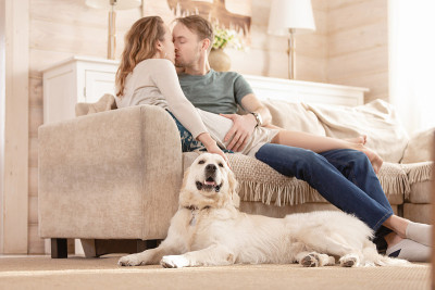 一对夫妇带着爱犬在乡村别墅的客厅里共度周末