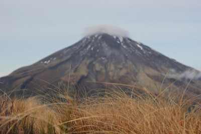 山