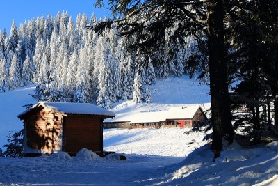Tanet滑雪度假村和Seestaedtle旅馆