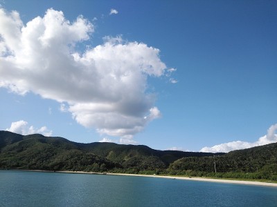 Amami view)