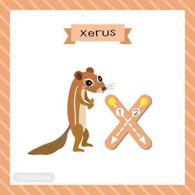 字母X小写跟踪。Xerus