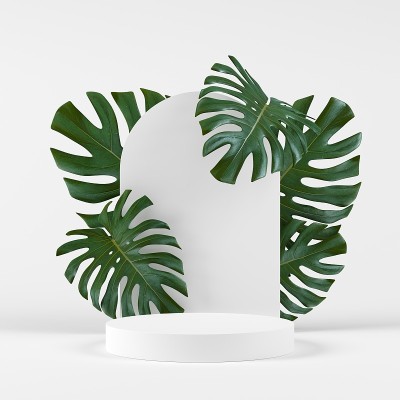 Abstract background. mock up scene for product dis