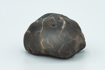 Chondrite Meteorite isolated, a piece of rock form
