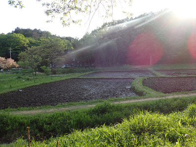 Noyamakita-Rokudoyama公园- Musashimurayama,东京
