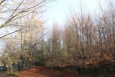 土耳其阿格瓦地区