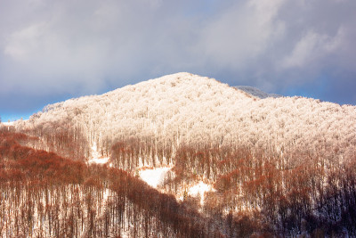冬天的山景