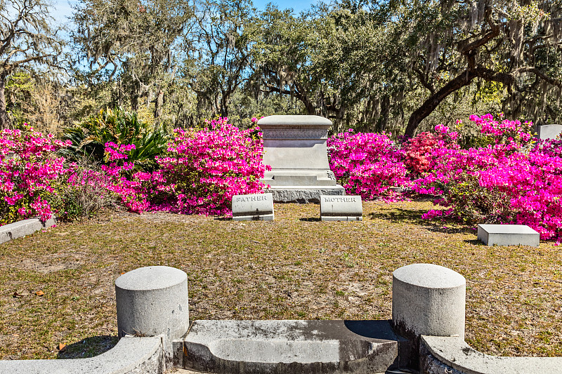 历史悠久的博纳旺蒂尔公墓(Bonaventure Cemetery)上，粉红色盛开的杜鹃花丛和一块空