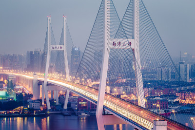 南浦大桥夜景，中国上海