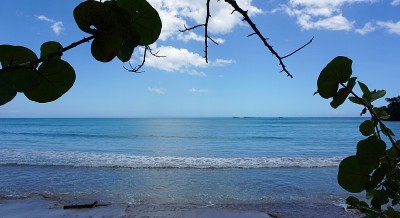 多米尼加共和国