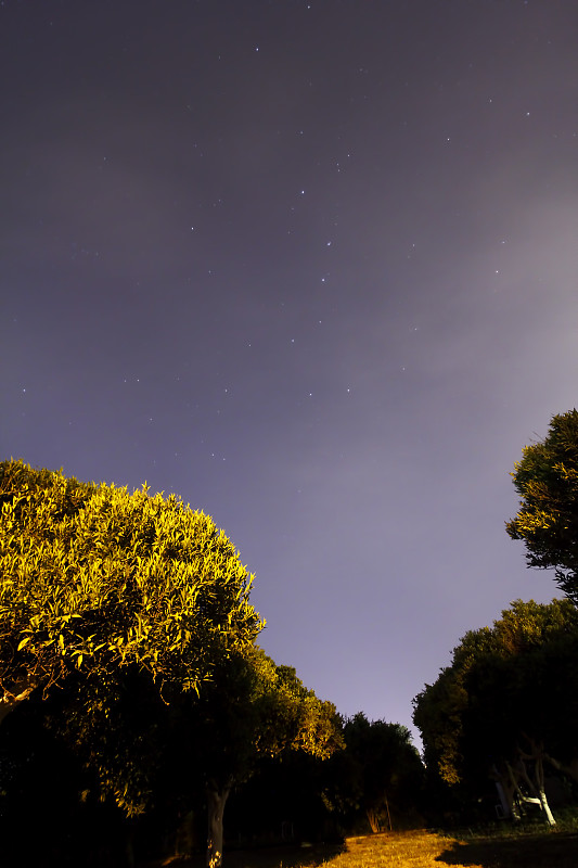 令人惊叹的星空与银河和星星上方的游客帐篷在山上的树林。在美丽的星星和树下露营。