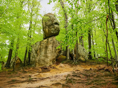 森林与岩石露头，景观公园Dovbush岩石。喀尔巴阡山,乌克兰