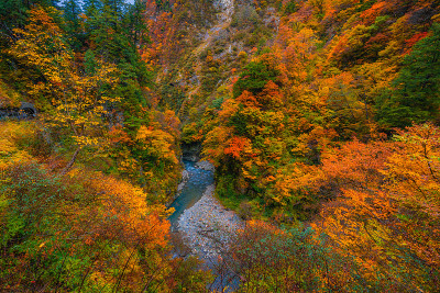 秋色在黑袍峡谷富山