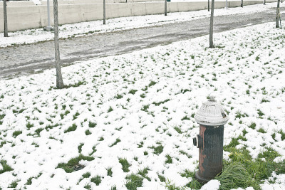 布鲁克林被雪覆盖的街道