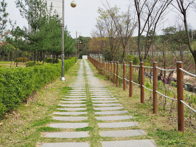 韩国清州森林路