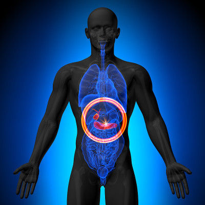 胆囊胰腺。男性人体器官解剖。x线视图