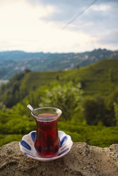 茶