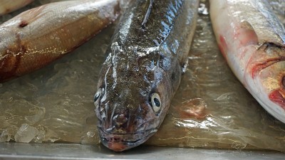 葡萄牙
