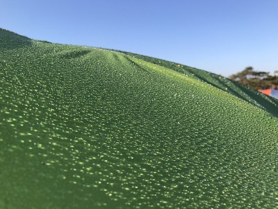 露水在床单上