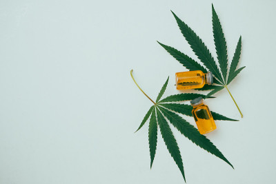 大麻油在小瓶与绿色叶子在白色的背景。替代医学概念。
