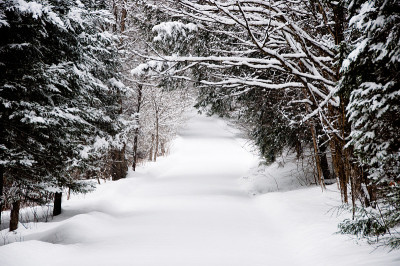 大雪后未耕的乡村道路